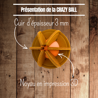 Jeu CRAZY BALL